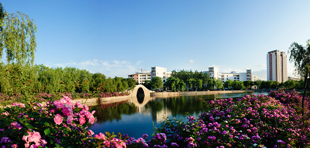 我的大學(xué)-大學(xué)志