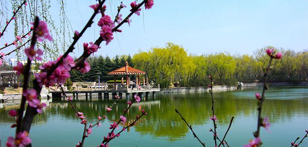 我的大學(xué)-大學(xué)志