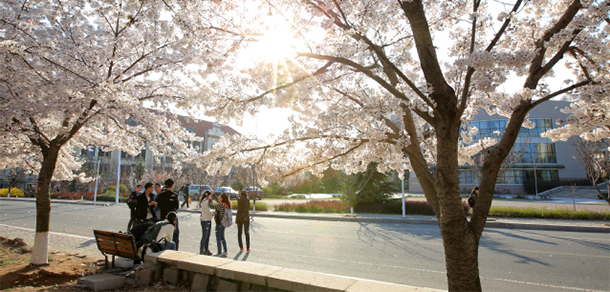 中國海洋大學