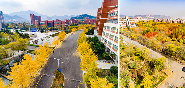 我的大學(xué)-大學(xué)志