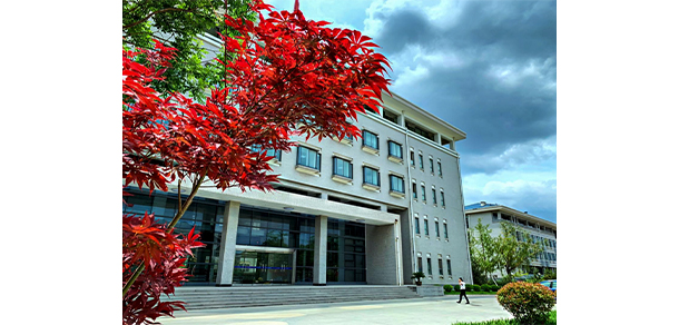 我的大學-大學志