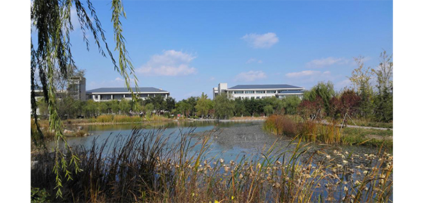 我的大學-大學志