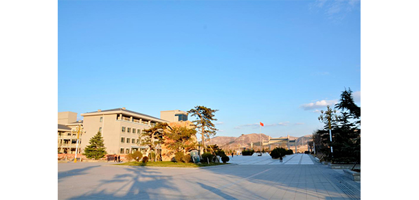 我的大學-大學志