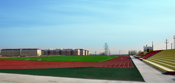 我的大學(xué)-大學(xué)志
