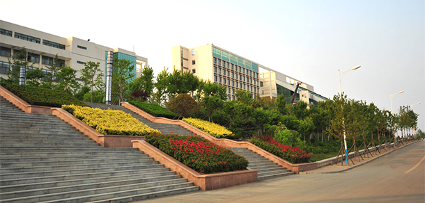 我的大學(xué)-大學(xué)志