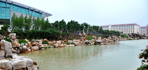 我的大學(xué)-大學(xué)志
