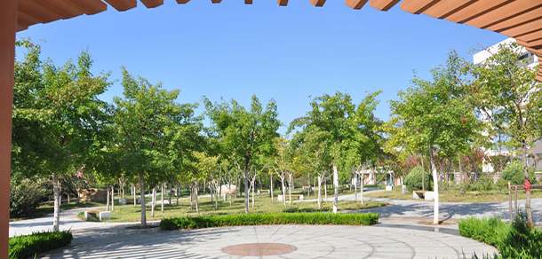 我的大學(xué)-大學(xué)志