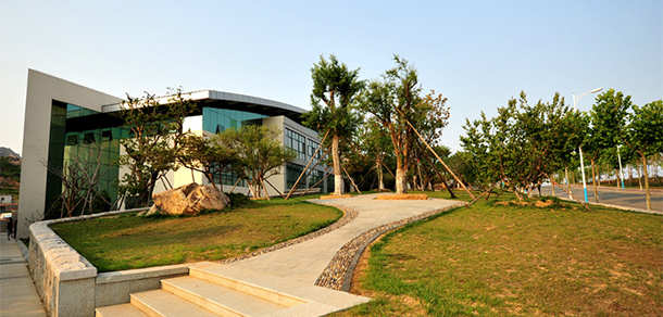 我的大學(xué)-大學(xué)志