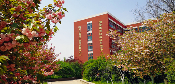 我的大學-大學志