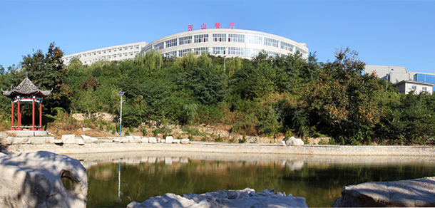 我的大學-大學志