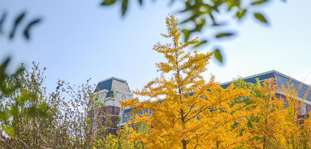 我的大學(xué)-大學(xué)志