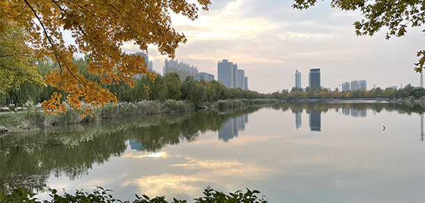 我的大學(xué)-大學(xué)志