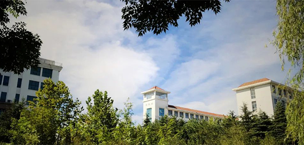 我的大學-大學志