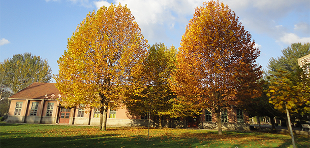 青島農(nóng)業(yè)大學海都學院