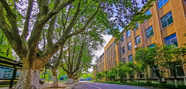 青島農(nóng)業(yè)大學海都學院
