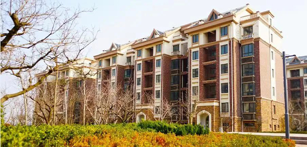 我的大學(xué)-大學(xué)志