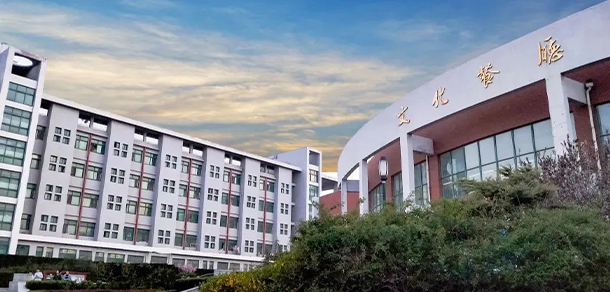 我的大學(xué)-大學(xué)志