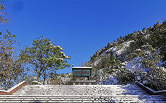 招生公告 · 招生簡(jiǎn)章 · 招生計(jì)劃