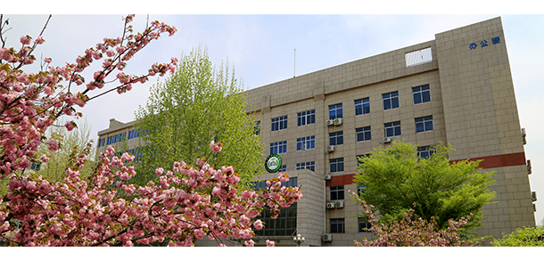 我的大學(xué)-大學(xué)志