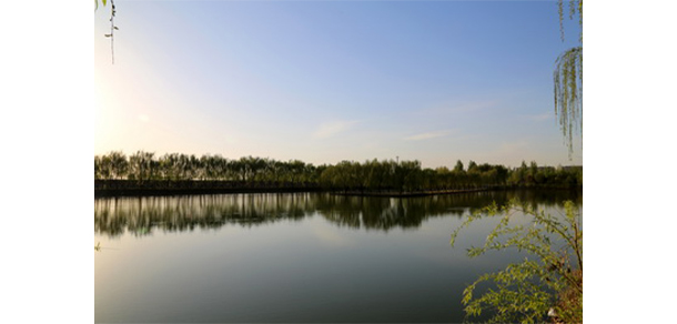 我的大學(xué)-大學(xué)志