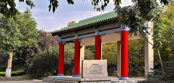 我的大學(xué)-大學(xué)志