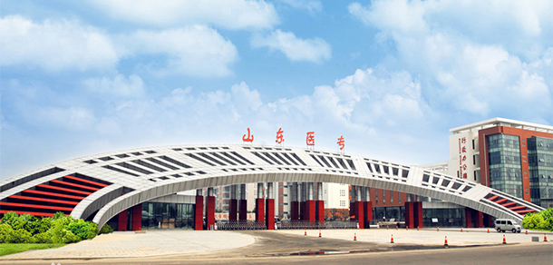 我的大學(xué)-大學(xué)志