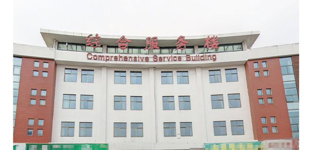 我的大學(xué)-大學(xué)志