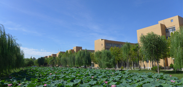 東營職業(yè)學院