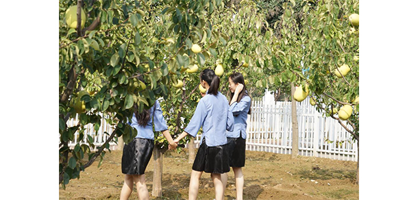 菏澤醫(yī)學(xué)?？茖W(xué)校 - 最美大學(xué)