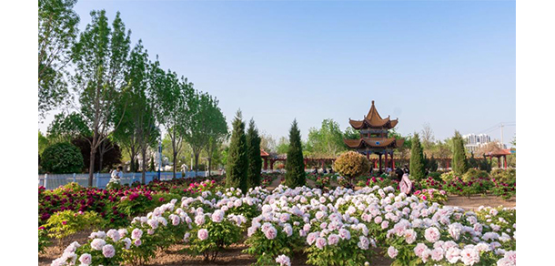 菏澤醫(yī)學(xué)?？茖W(xué)校 - 最美大學(xué)
