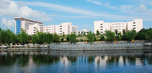 我的大學(xué)-大學(xué)志