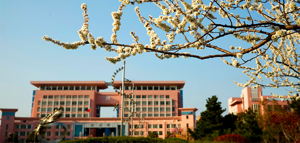 我的大學(xué)-大學(xué)志