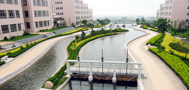 我的大學(xué)-大學(xué)志