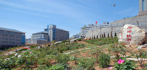 濰坊護理職業(yè)學院