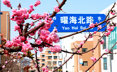 招生公告 · 招生簡章 · 招生計(jì)劃