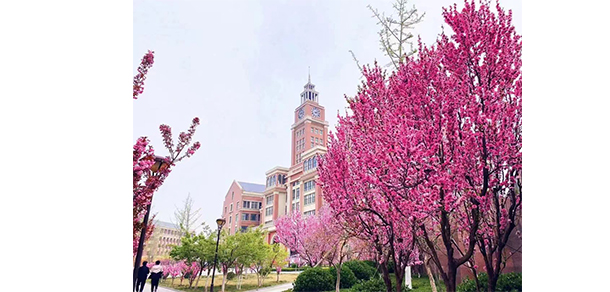 煙臺黃金職業(yè)學院 - 最美大學