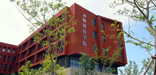 我的大學-大學志