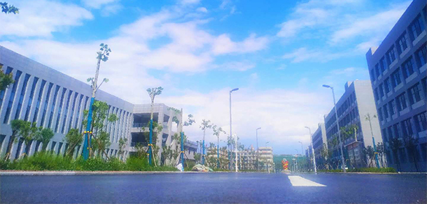 我的大學-大學志