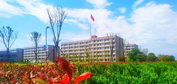 我的大學-大學志