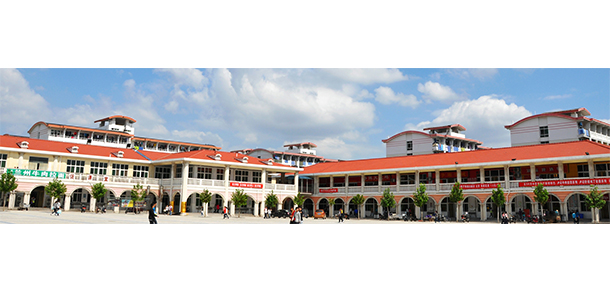 我的大學-大學志