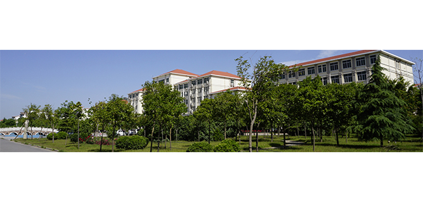 我的大學-大學志