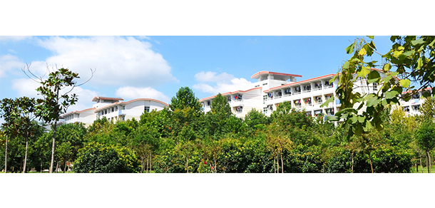 我的大學-大學志
