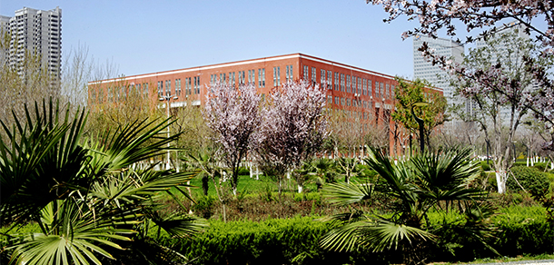 我的大學-大學志