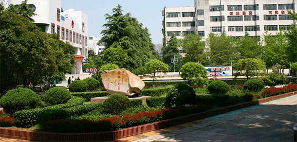 我的大學-大學志