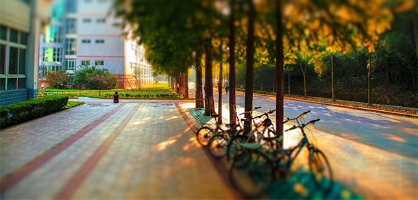 我的大學-大學志