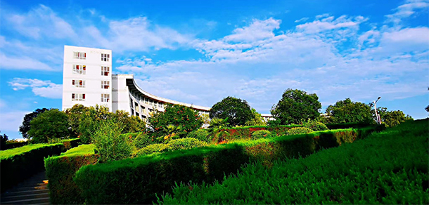 我的大學-大學志