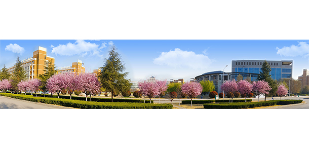 我的大學-大學志