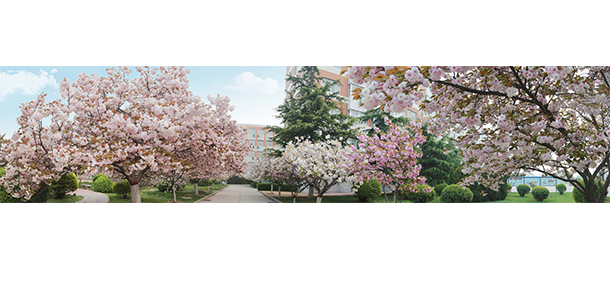 我的大學-大學志