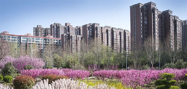 我的大學(xué)-大學(xué)志