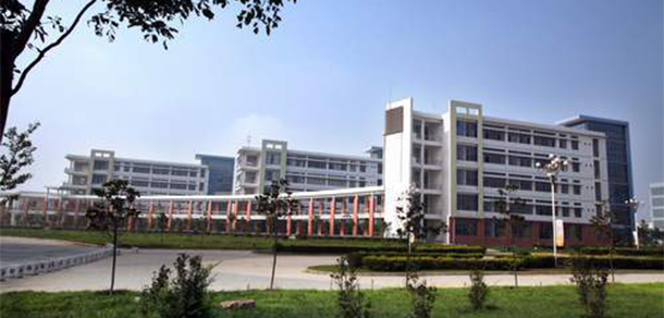 我的大學(xué)-大學(xué)志